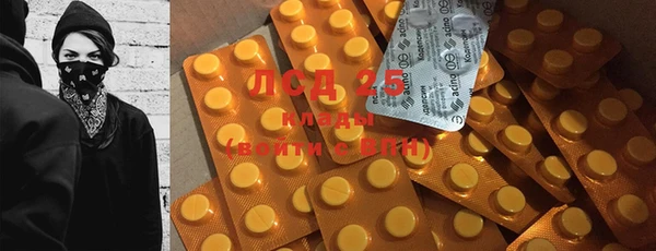 мяу мяу мука Горно-Алтайск