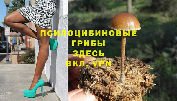 стафф Горняк