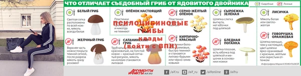 стафф Горняк