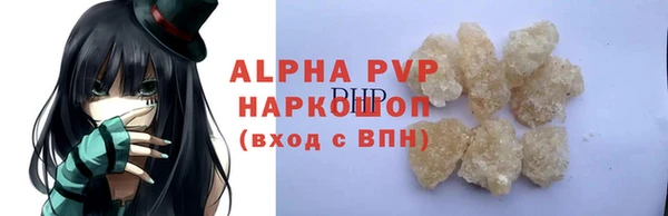 хмурый Ельня