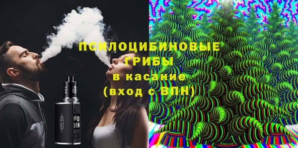 мяу мяу мука Горно-Алтайск