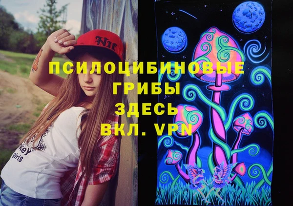 мяу мяу мука Горно-Алтайск